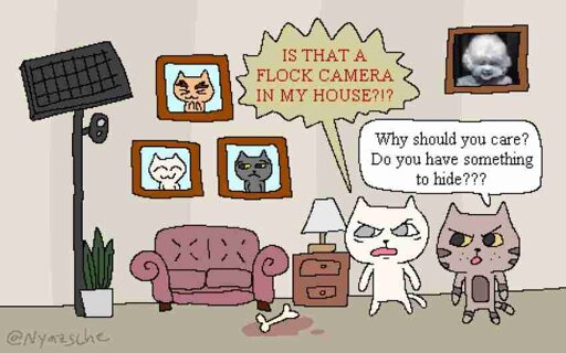 White Cat: "IS THAT A FLOCK CAMERA IN MY HOUSE??" Brown Cat: "Why should you care? Do you have something to hide?" 