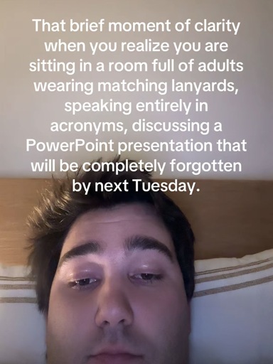 A selfie of a person with the caption “That brief moment of clarity when you realize you are sitting in a room full of adults wearing matching lanyards, speaking entirely in acronyms, discussing a PowerPoint presentation that will be completely forgotten by next Tuesday.”